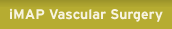 iMAP vascular surgery